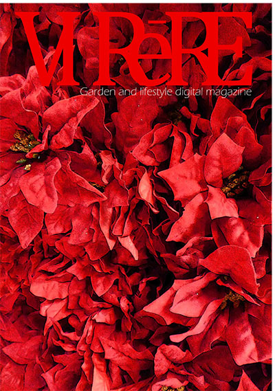 VIReRE Christmas Edition - Ed7 Dec 2016