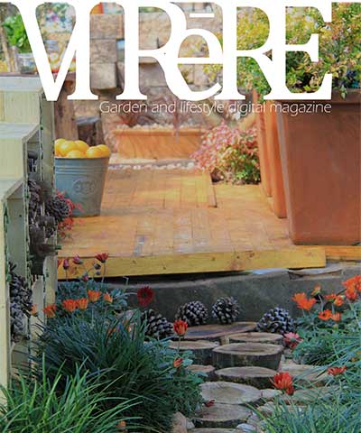 VIReRE Launch Edition - Aug 2015