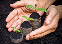 Generate a primary or second income from garden designing