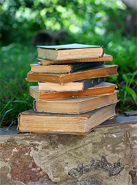 Private Education is the future for South Africa