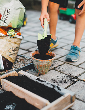 pot gardening: soil cultivation