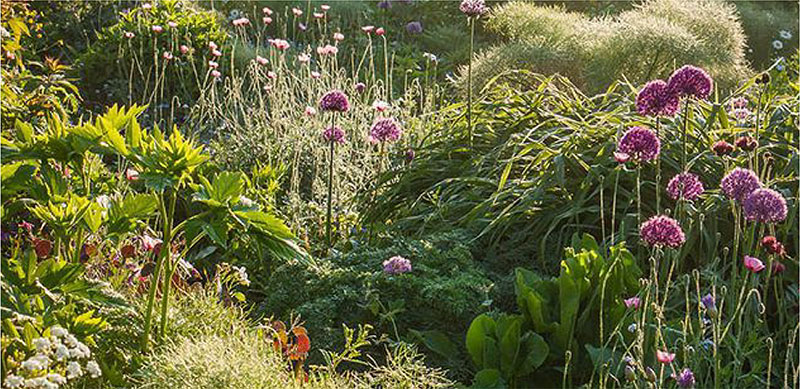 2021 TREND FORECAST FOR GARDENS IN SOUTH AFRICA