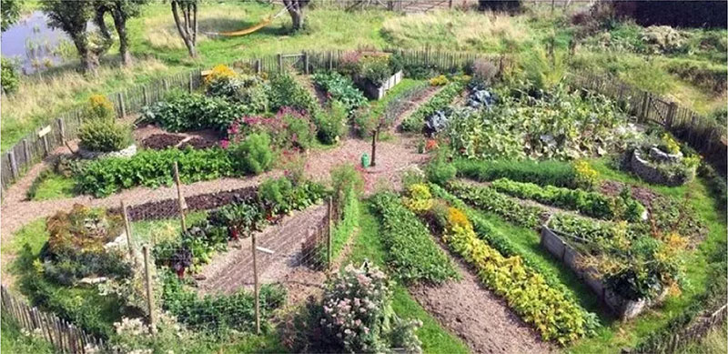 2021 TREND FORECAST FOR GARDENS IN SOUTH AFRICA