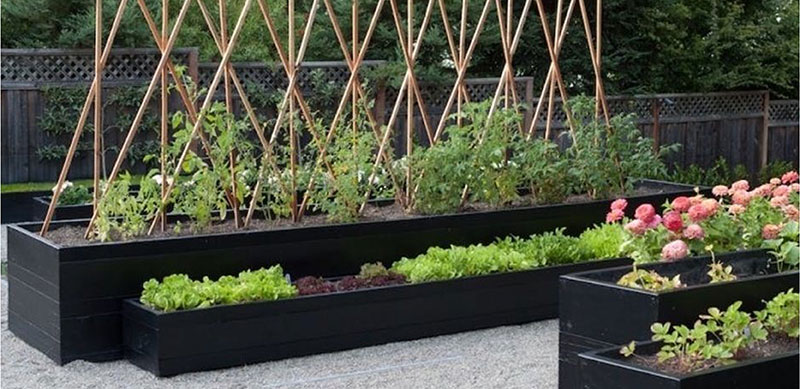 2021 TREND FORECAST FOR GARDENS IN SOUTH AFRICA