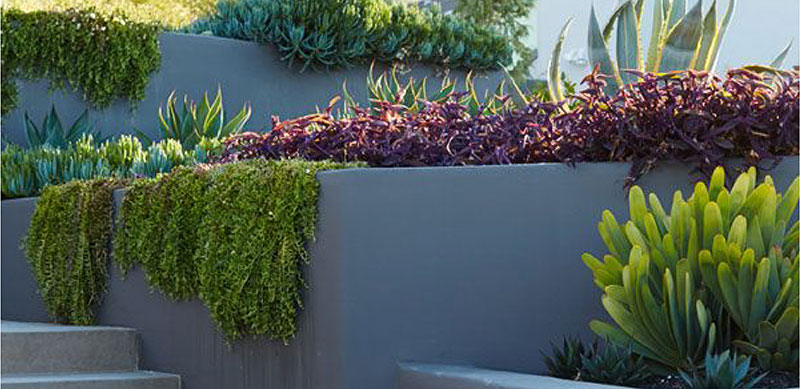 2021 TREND FORECAST FOR GARDENS IN SOUTH AFRICA