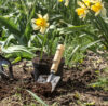 gardening hobbies